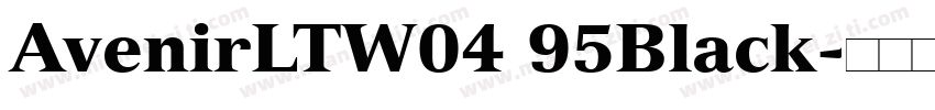 AvenirLTW04 95Black字体转换